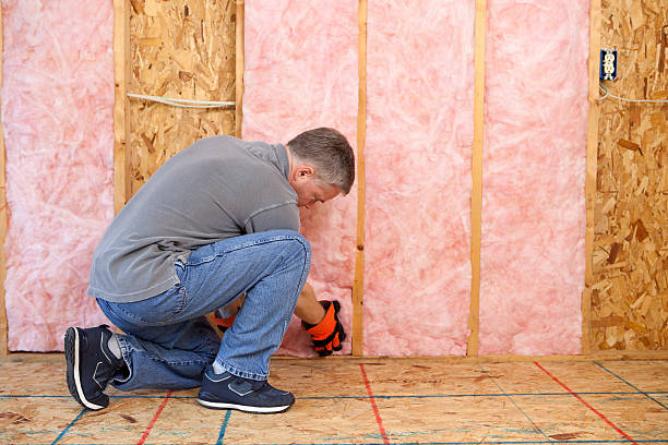 Best Crawl Space Insulation  in Burleson, TX